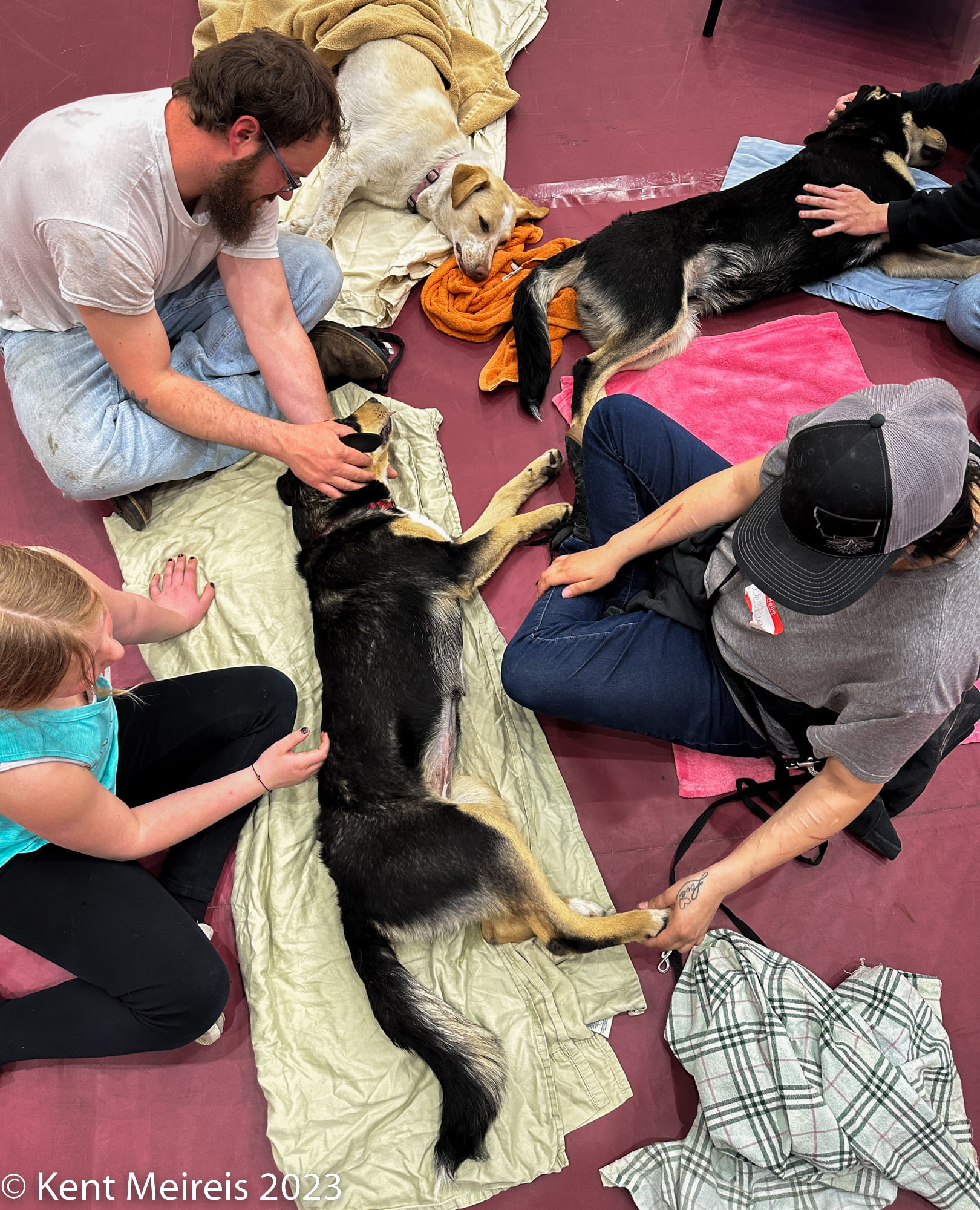 Arlee Spay and Neuter Clinic